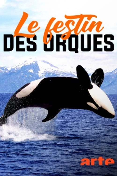 Norv&egrave;ge : le festin des orques