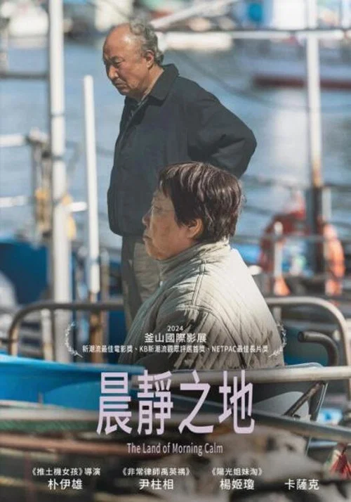 晨海的海鸥