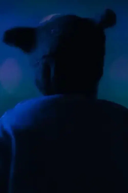 Noite do C&atilde;o