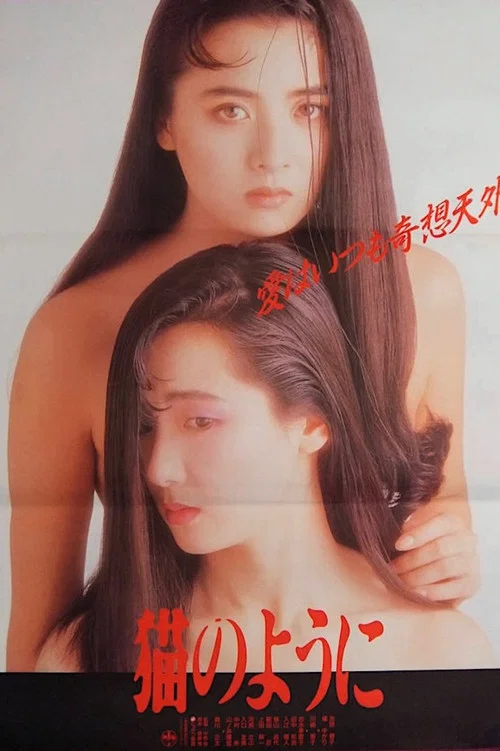 像猫一样生活