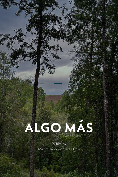 Algo M&aacute;s