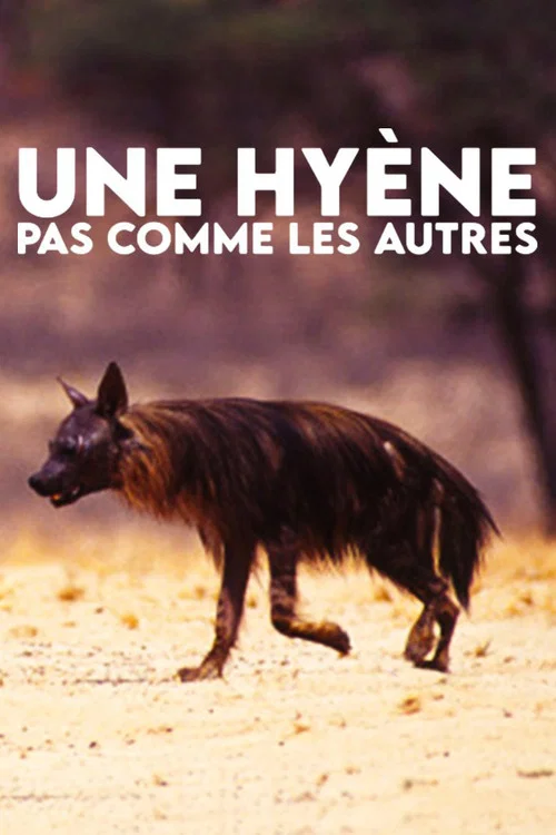 Une hy&egrave;ne pas comme les autres