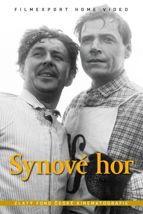 Synov&eacute; hor