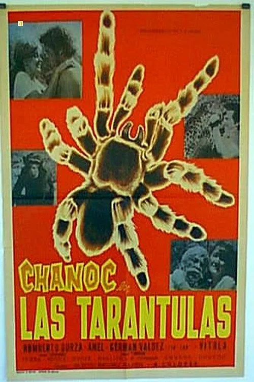 Las tar&aacute;ntulas