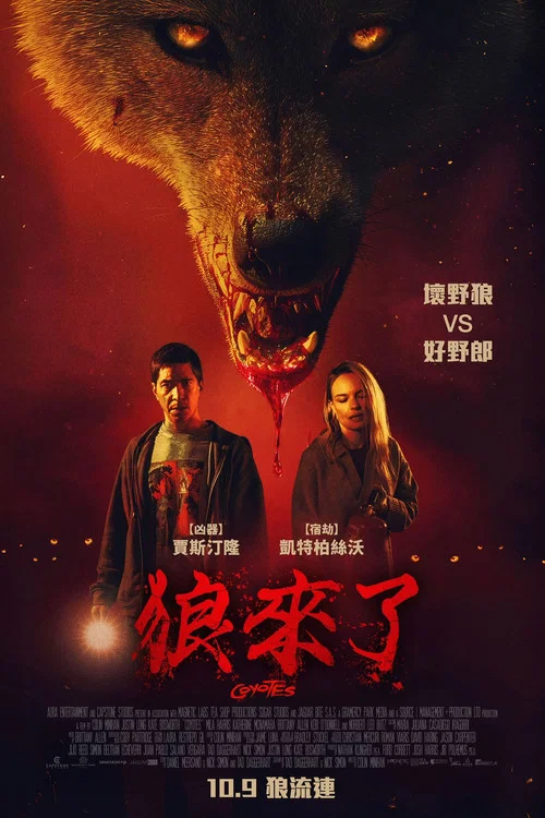 郊狼