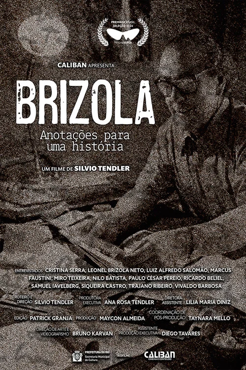 Brizola, Anota&ccedil;&otilde;es para uma Hist&oacute;ria