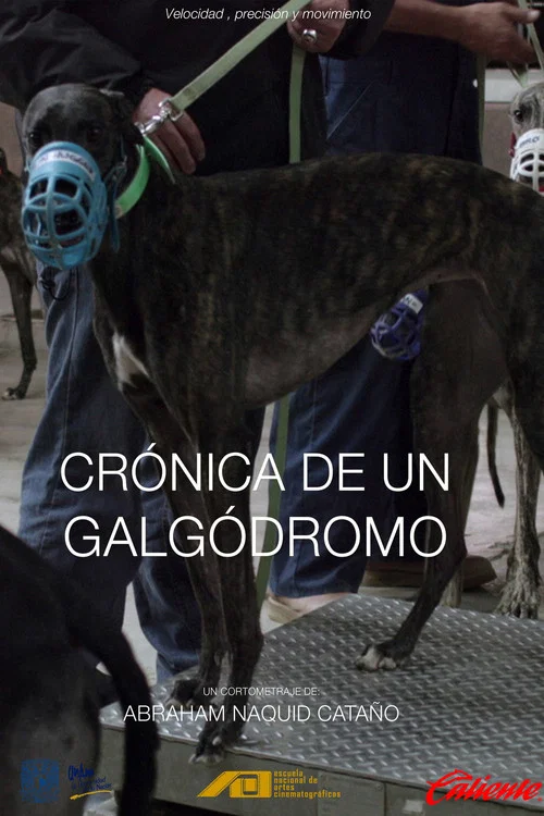 Cr&oacute;nica de un galg&oacute;dromo