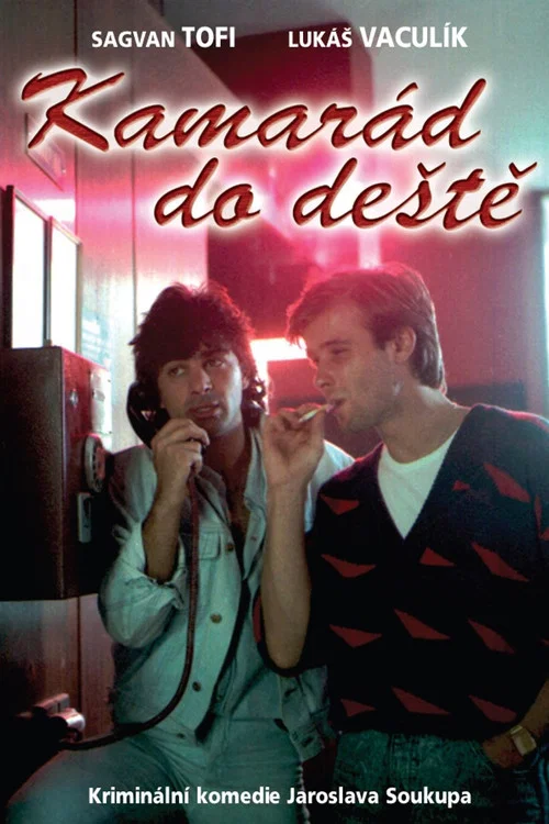 Kamar&aacute;d do de&scaron;tě