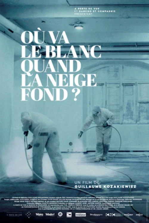 O&ugrave; va le blanc quand la neige fond