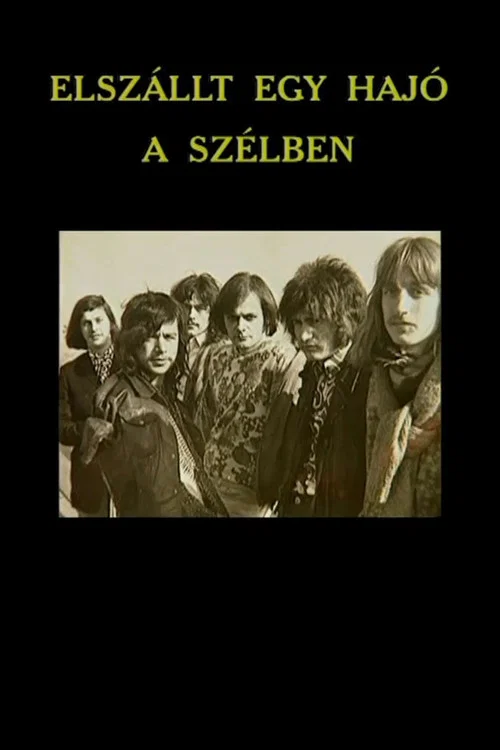 Elsz&aacute;llt egy haj&oacute; a sz&eacute;lben
