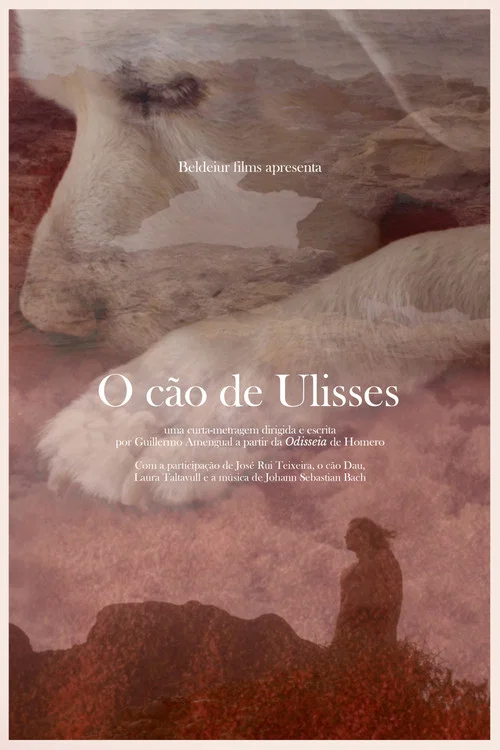 O c&atilde;o de Ulisses