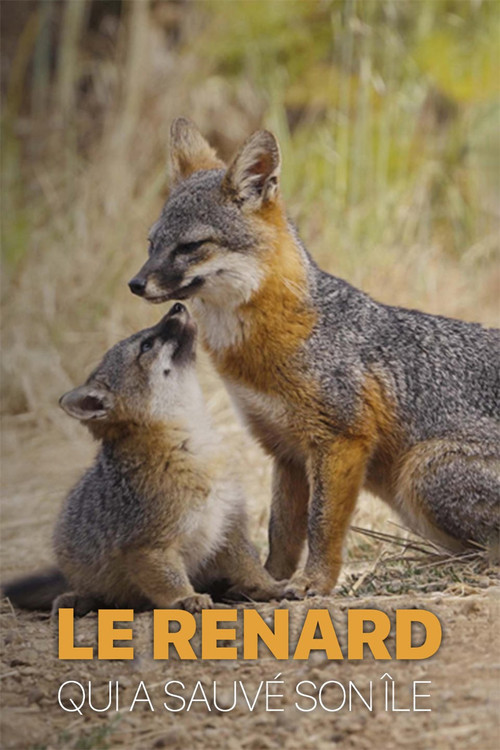 Le renard qui a sauv&eacute; son &icirc;le