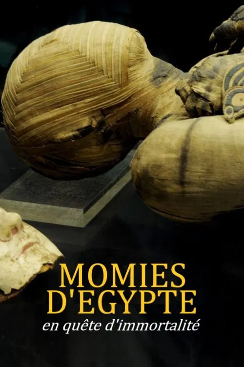 Momies d'&Eacute;gypte, en qu&ecirc;te d'immortalit&eacute;