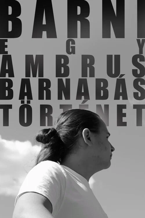 BARNI: Egy Ambrus Barnab&aacute;s-t&ouml;rt&eacute;net