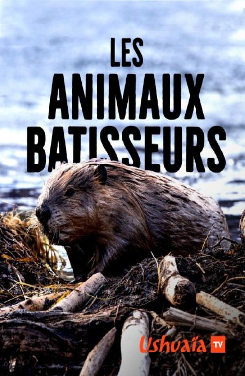 Les Animaux b&acirc;tisseurs
