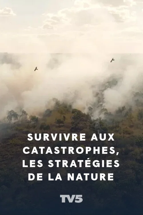 Survivre aux catastrophes, les strat&eacute;gies de la nature