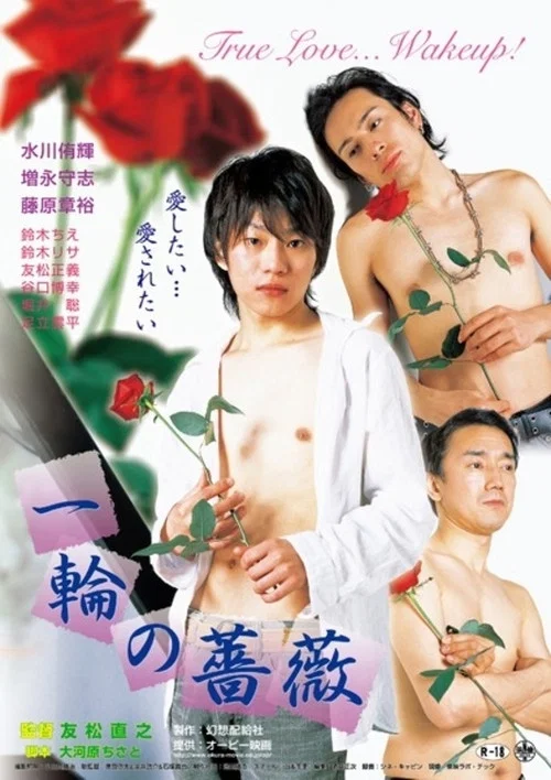 一轮蔷薇