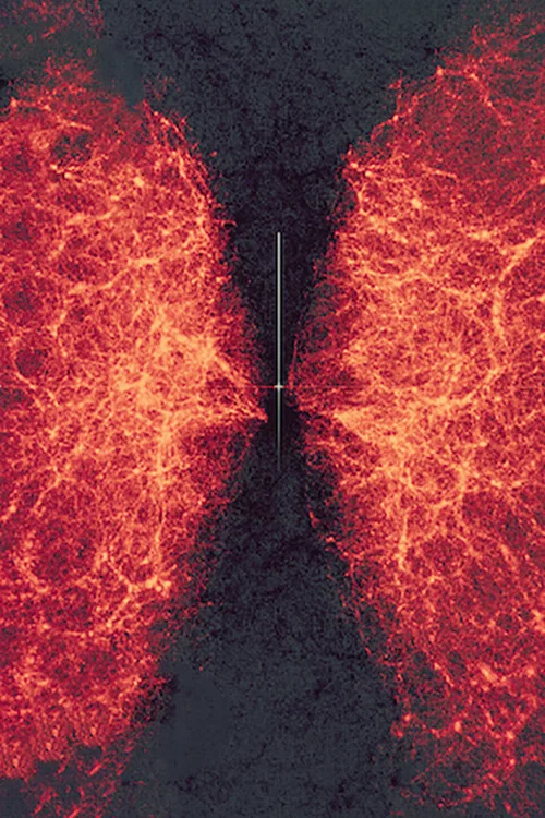 data-verse 1