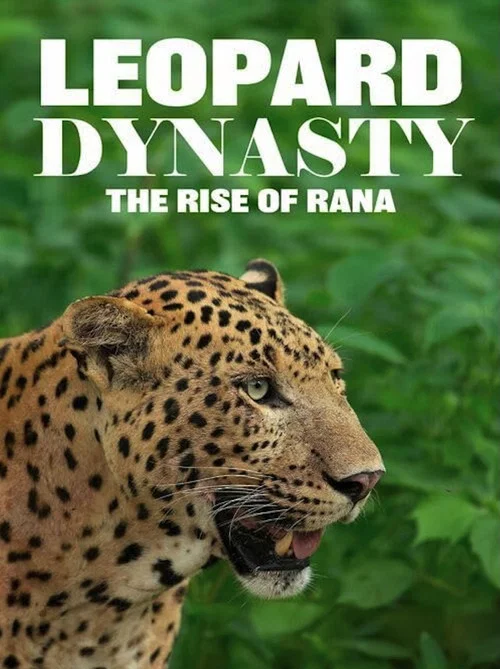 Leopard Dynasty &ndash; The Rise of Rana