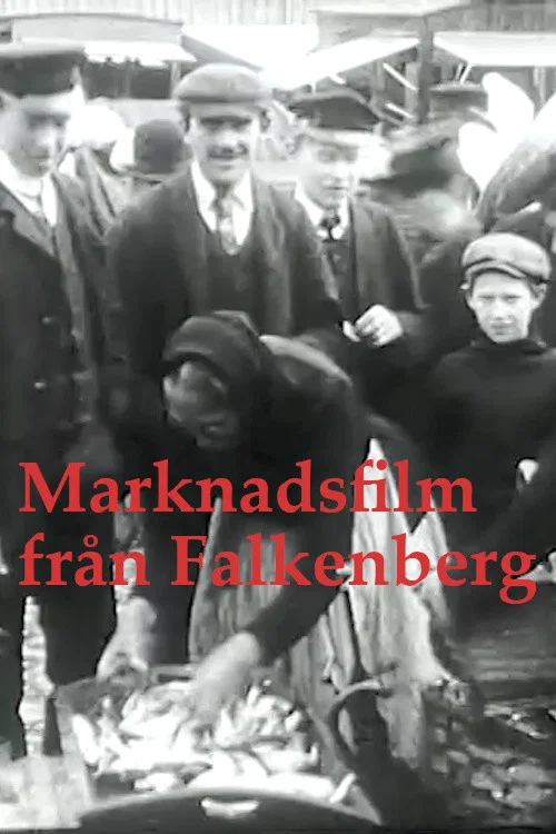 Marknadsfilm fr&aring;n Falkenberg