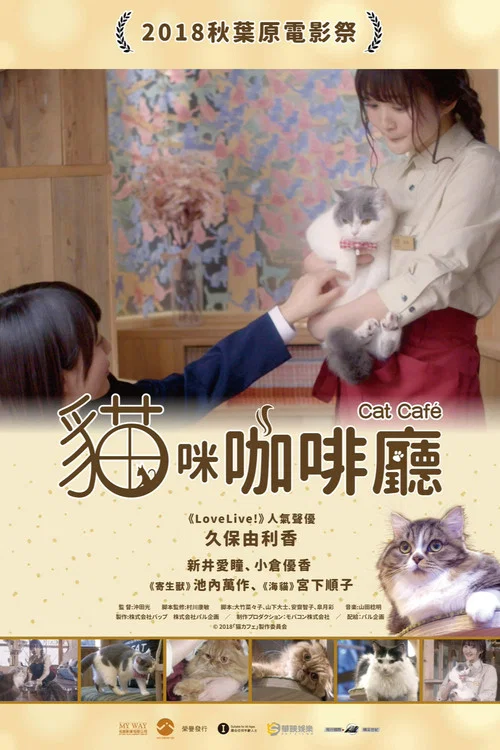 猫咪咖啡厅