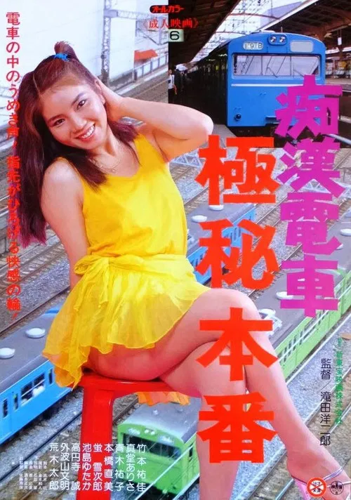 痴汉电车：极秘本番