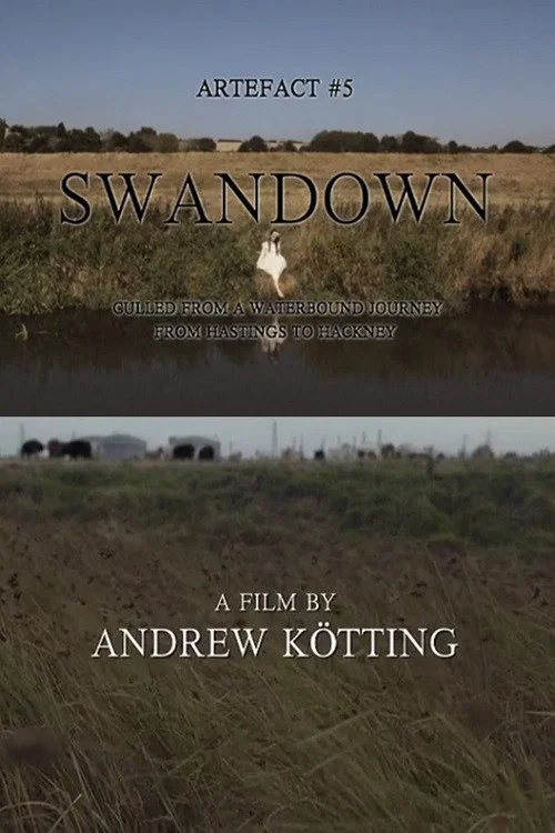 Artefact #5: Swandown &ndash; Culled from a Waterbound Journey from Hastings to Hackney