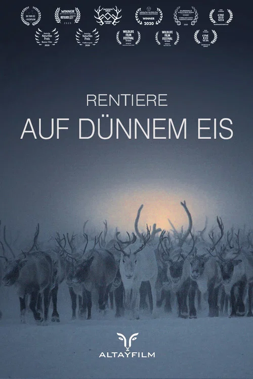 Rentiere auf d&uuml;nnem Eis