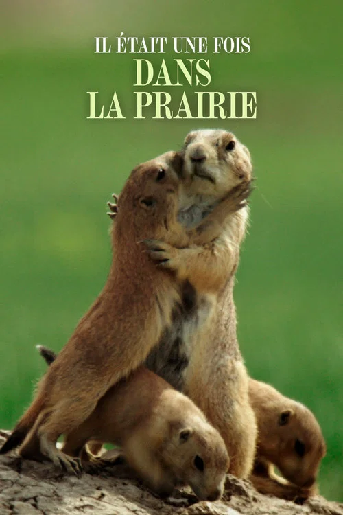 Il &eacute;tait une fois dans la prairie
