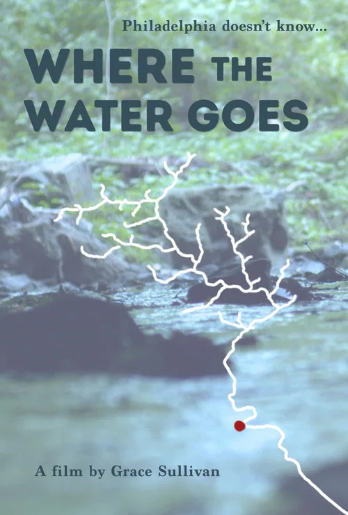 Where the Water Goes