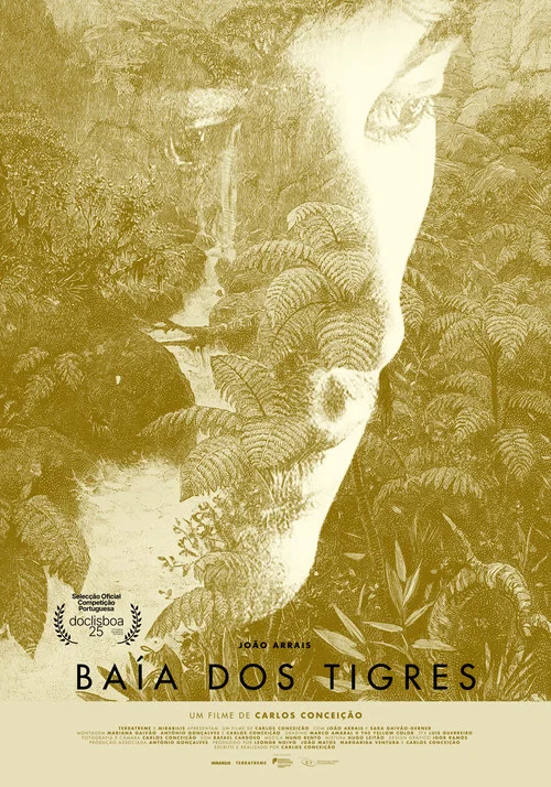 Ba&iacute;a dos Tigres