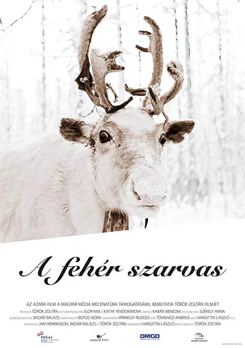 A feh&eacute;r szarvas