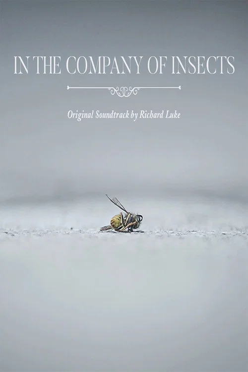 In the Company of Insects