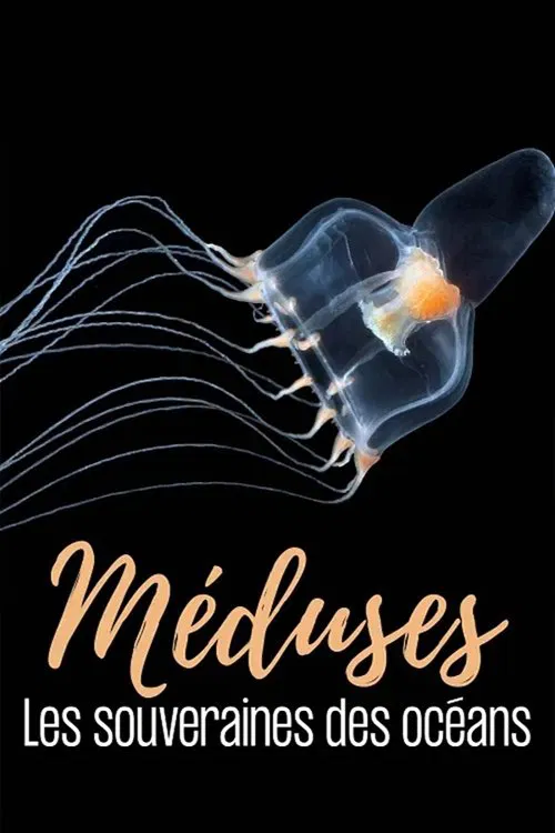 M&eacute;duses les souveraines des oc&eacute;ans