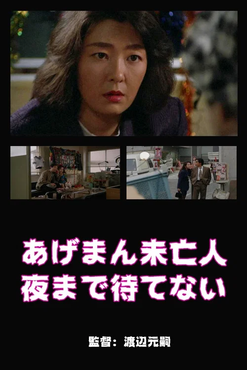 寡妇等不到夜晚