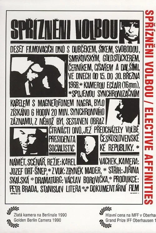 Spř&iacute;zněni volbou