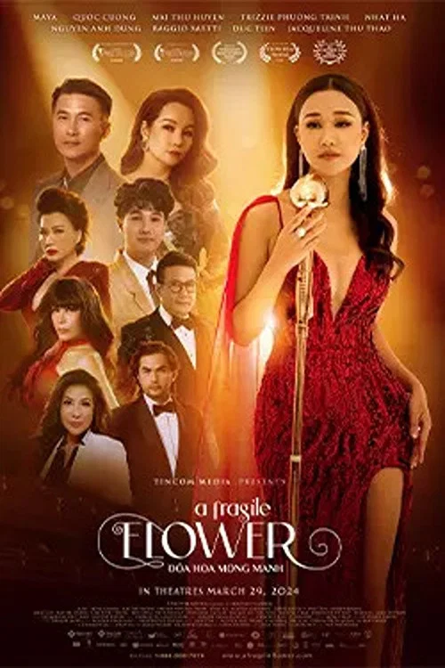 Một B&ocirc;ng Hoa Mong manh