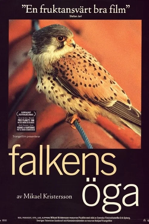 Falkens &ouml;ga