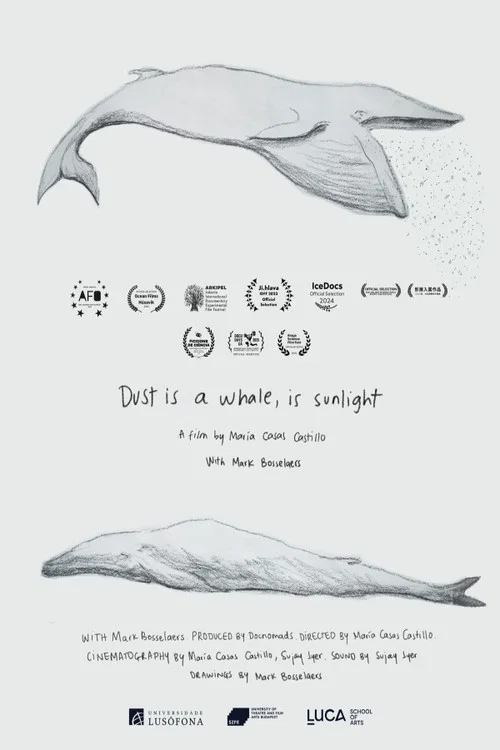 Dust is a Whale, is Sunlight