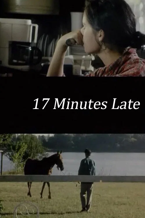 17 minute &icirc;nt&acirc;rziere