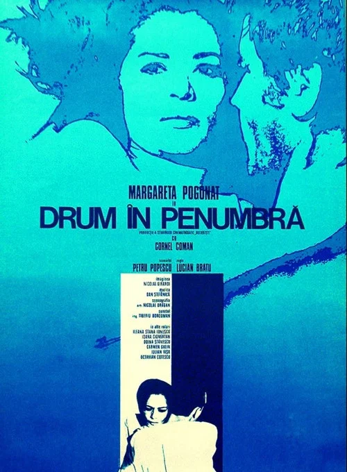 Drum &icirc;n penumbră