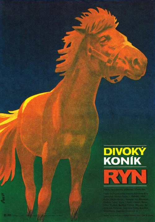 Divok&yacute; kon&iacute;k Ryn