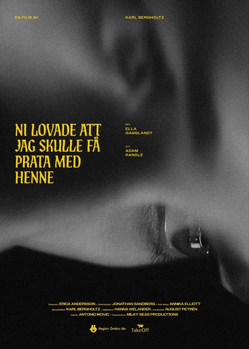Ni lovade att jag skulle f&aring; prata med henne