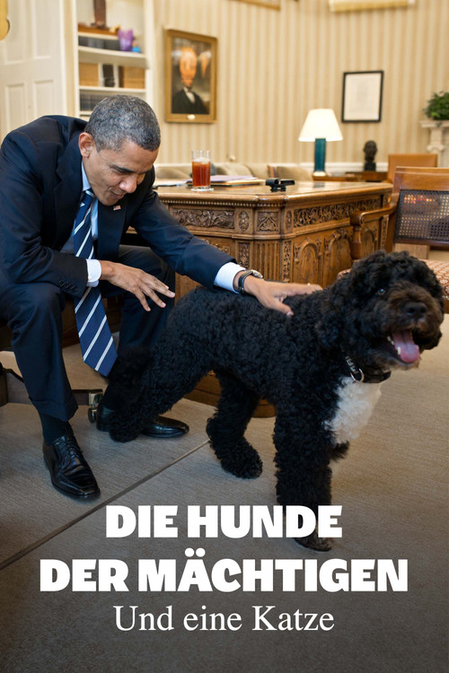 Die Hunde der M&auml;chtigen - und eine Katze
