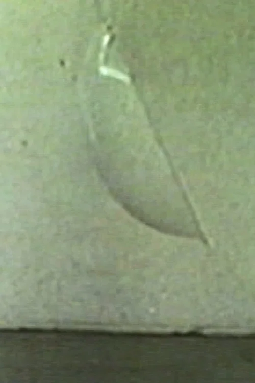 St&auml;del