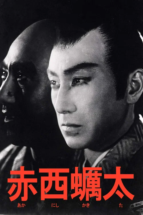 赤西蛎太