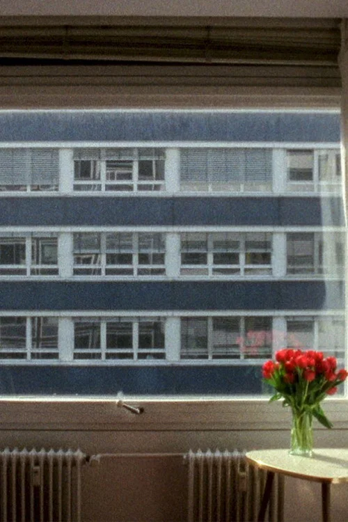 21,3 &deg;C