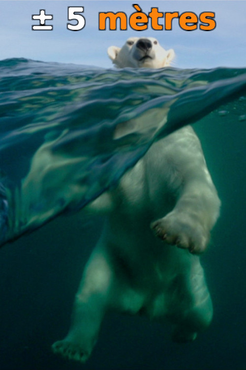 &Agrave; &plusmn; 5 m&egrave;tres de la surface des oc&eacute;ans