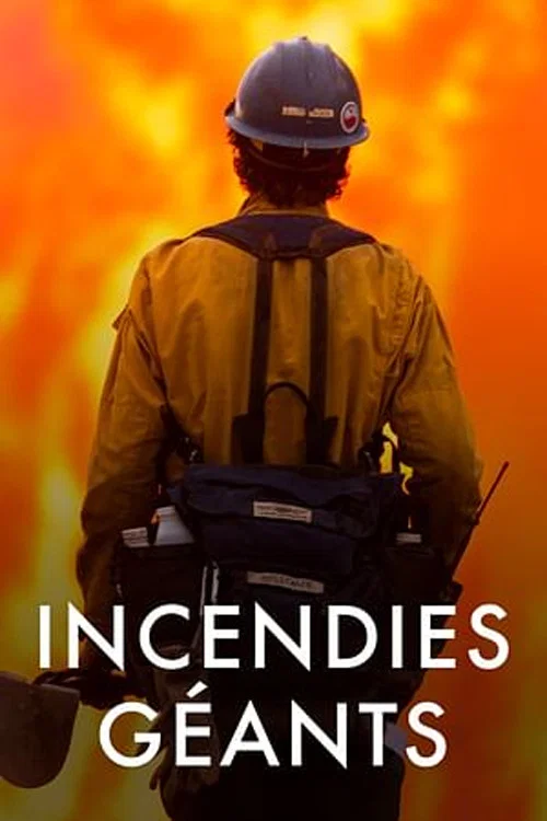 Incendies g&eacute;ants : enqu&ecirc;te sur un nouveau fl&eacute;au