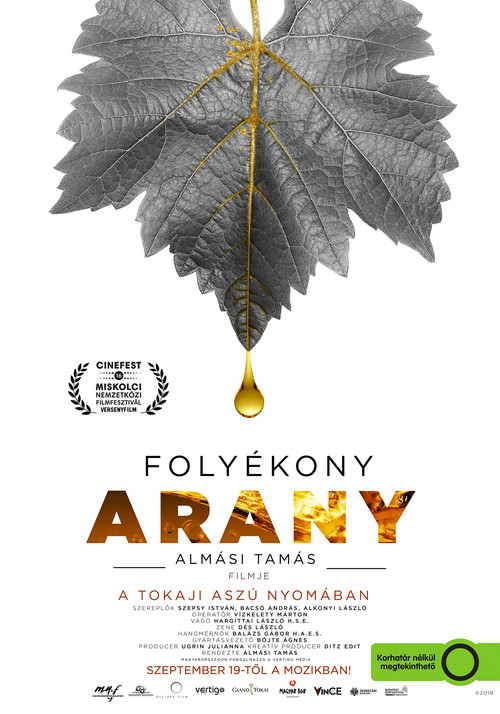 Foly&eacute;kony arany